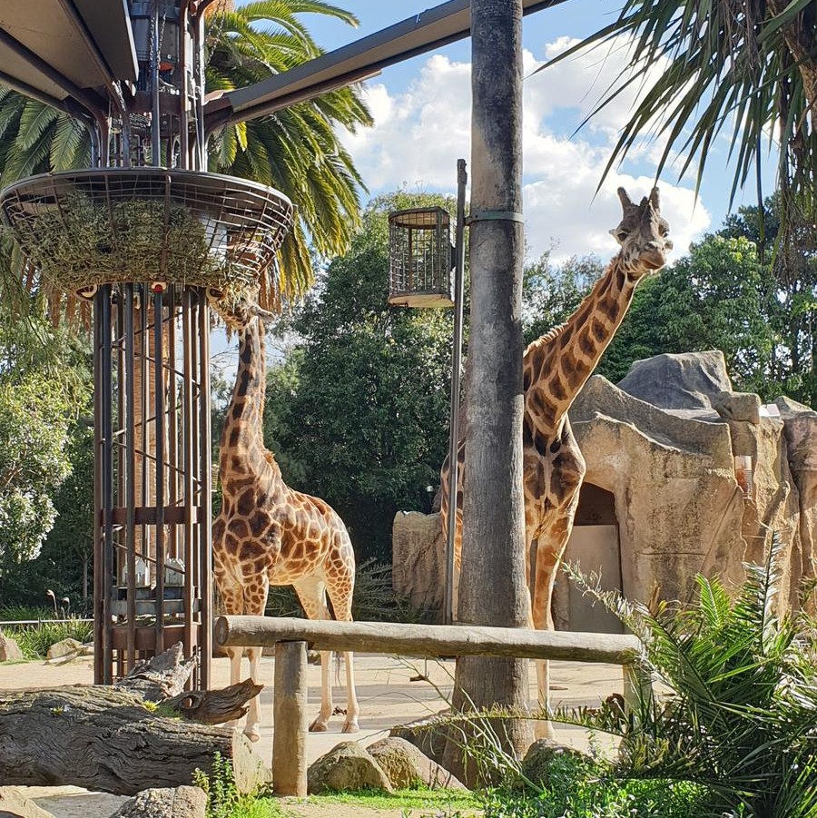 墨尔本蝉联宜居城市,全球宜居城市墨尔本