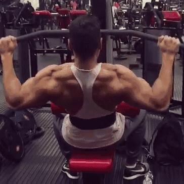 背部训练健身体式动作图解,健身背部训练背背佳