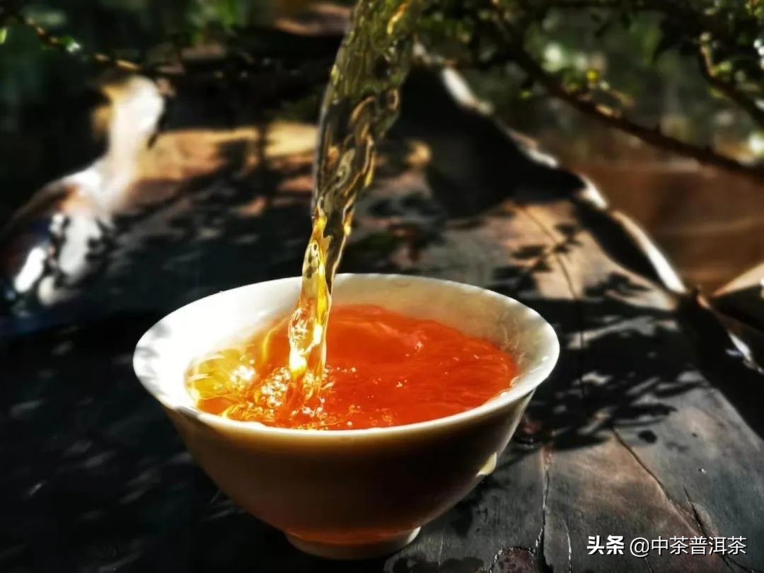 中茶普洱茶生茶推荐,中茶2021臻品黄印熟茶评测