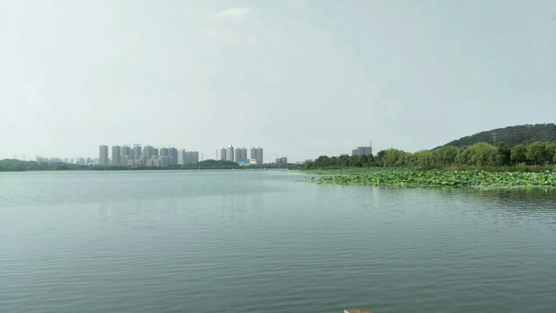 武汉后官湖湿地公园门票,武汉后官湖湿地公园线路图