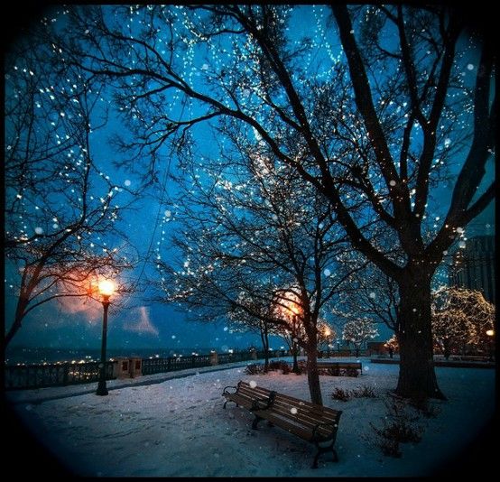 【西师夜读(音频)】《雪夜林边驻马》(总第31期)