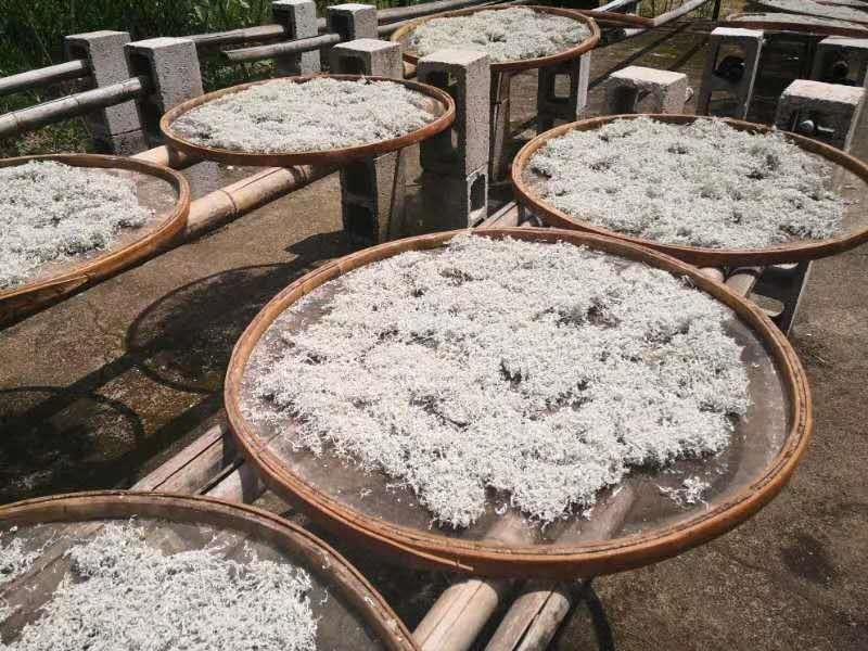 张家界的莓茶酥,张家界的莓茶是什么植物