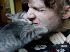 跟猫咪玩耍的时候它咬人,猫咪咬人怎么办一招教你制服