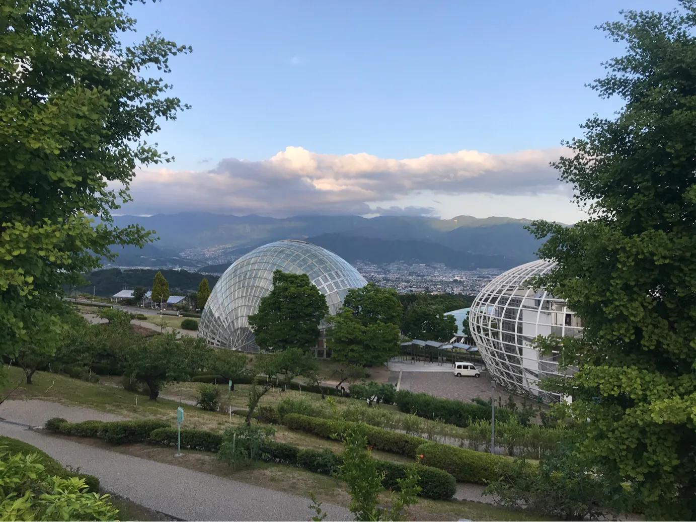 日本疫情举行聚会,日本民众疫情聚会