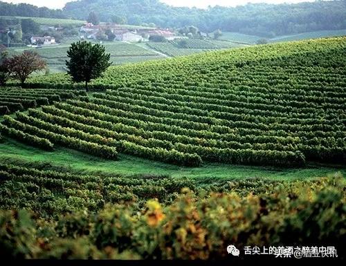 路易十三xo干邑白兰地700ml多少钱,路易十三顶级干邑