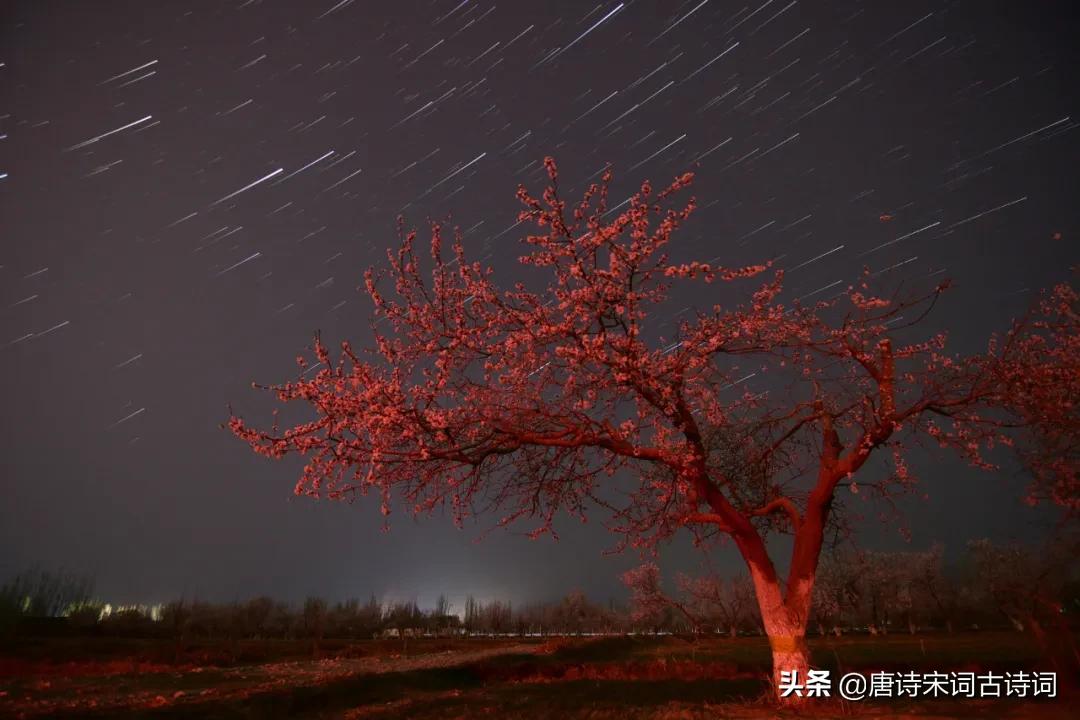 杏花疏影里吹笛到天明解释,杏花疏影里吹笛到天明书法