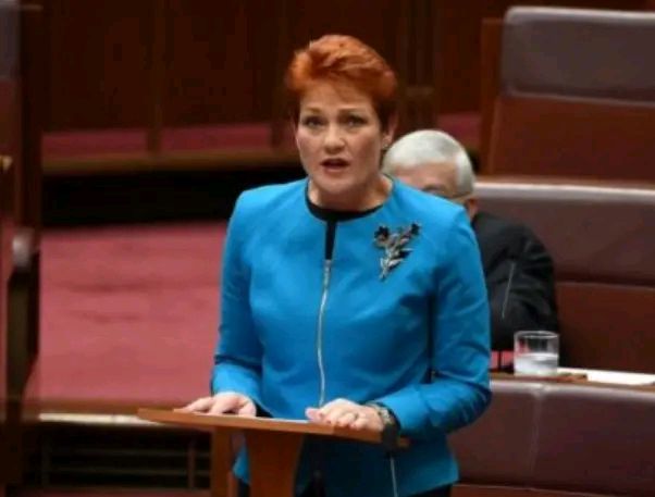 澳洲禁止中国产品进口吗,澳洲对华禁止出口什么