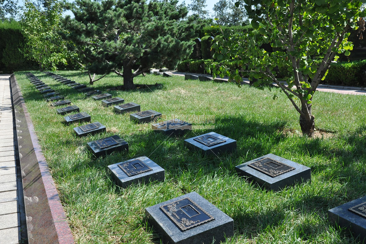 骨灰是什么东西,骨灰主要是什么元素