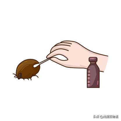 夏季炎热，狗狗便血而亡，元凶藏在这里！你家狗也会有