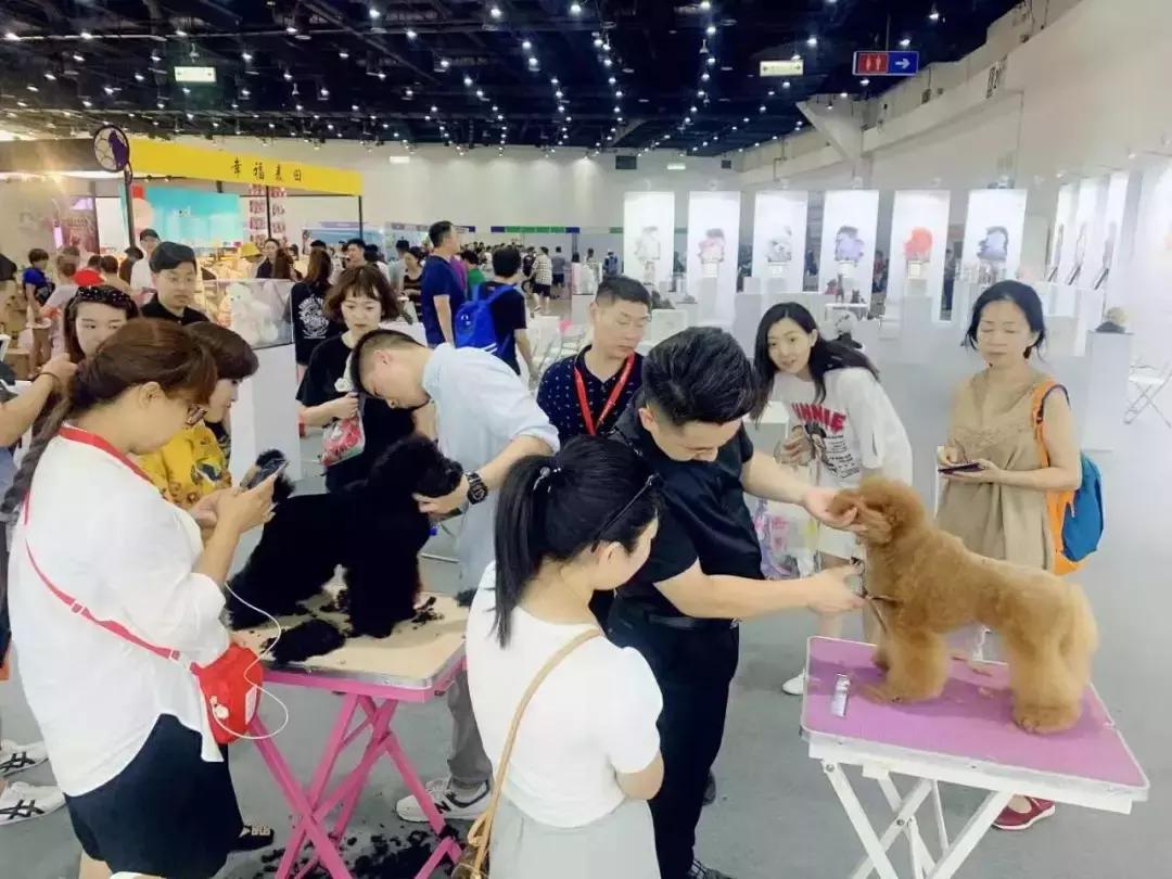 美容行业一个月能赚10000吗,美容师月薪上万是真的吗