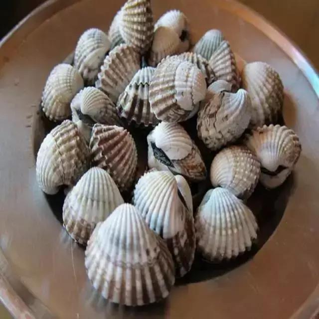 宁波一渔民整理海鲜大全,宁波最全的海鲜