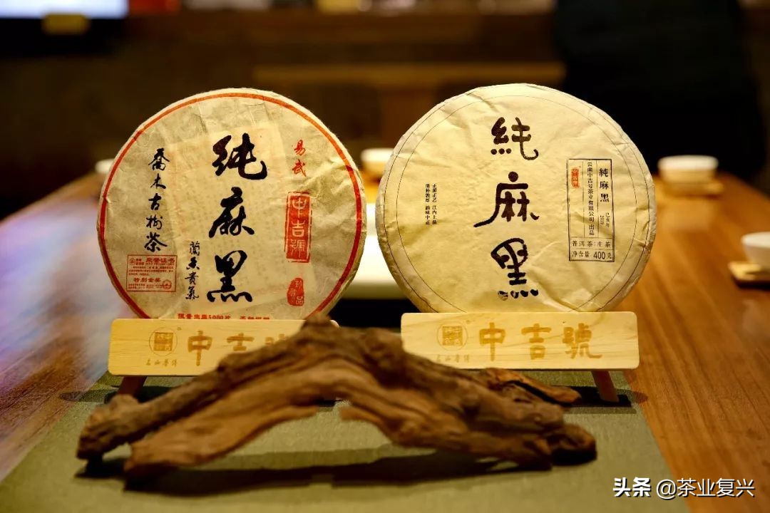 古树茶的作用和价值,古树茶营养价值