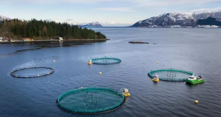 丹麦OR瑞典，谁才是挪威的太上皇？看挪威百年抗争——挪威简史4