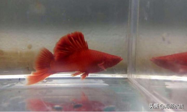 从外表到内在再到灵魂,从外表到内在