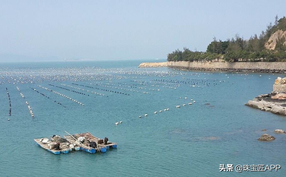 akoya天女珠和花珠哪个更好,天女珠和akoya海水珠的区别