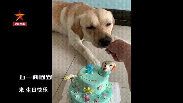 2019，让我们学会告别