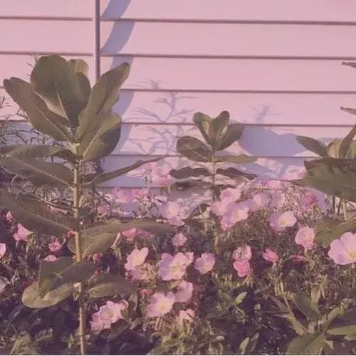 朋友圈封面背景图怎么设置,微信朋友圈封面背景图伤感