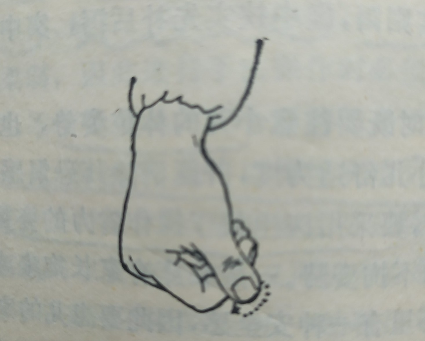 零基础学习中医按摩,零基础学中医按摩