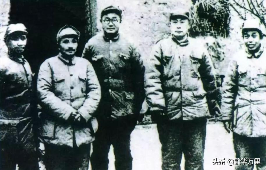 1950年几大野战军各个兵力多少,1949年四大野战军兵力