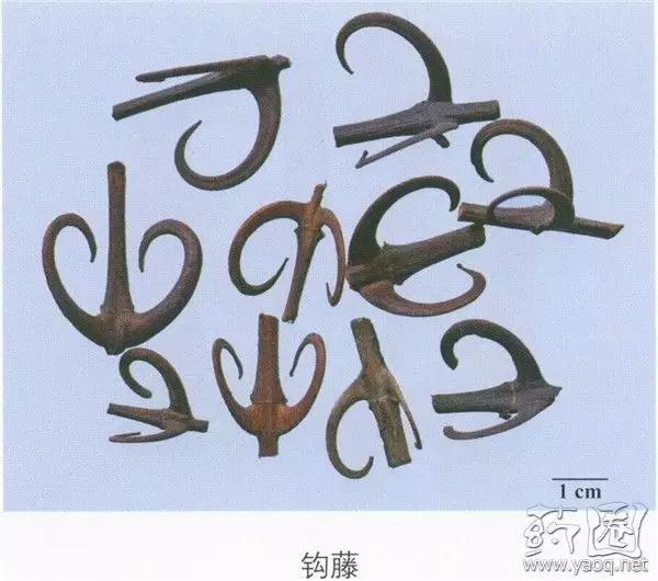 看红楼梦要注意什么,看红楼梦需要知道哪些知识点