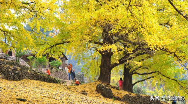 桂林哪个季节美,这个季节桂林哪里好玩