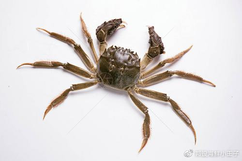 螃蟹夹到手有毒吗,被螃蟹夹了不松手怎么办