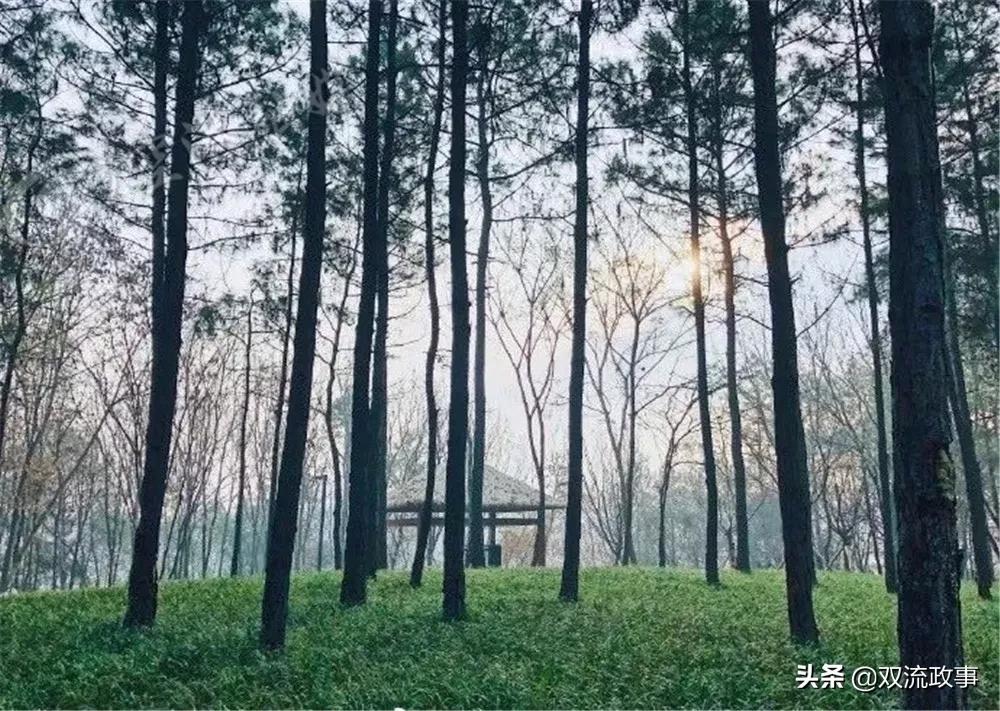 成都双流怎样,你怎么那么绿是什么梗