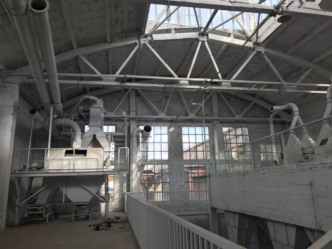 爆改废弃工厂，看三个姑娘如何施展植物魔法