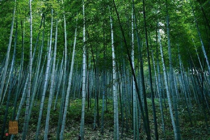 看见两条蛇缠在一起，特别不吉利，我碰见过，然后就病了