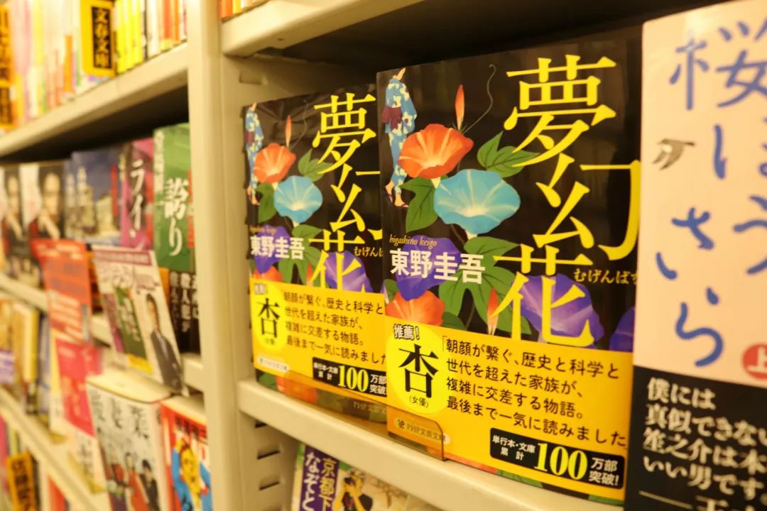 和服日本少女,和服少女京都