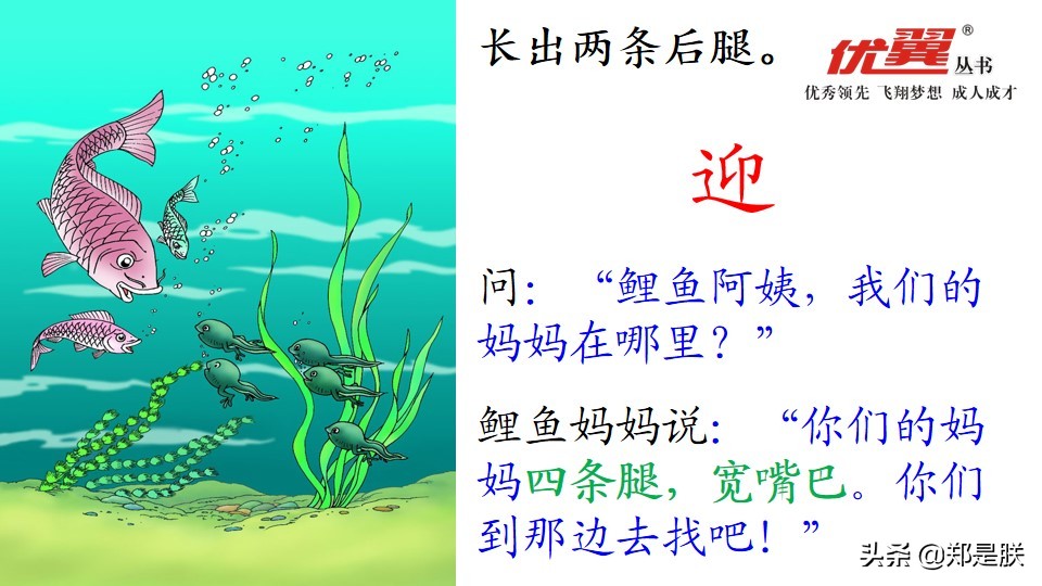 二年级小蝌蚪找妈妈诵读,二年级语文第1课小蝌蚪找妈妈