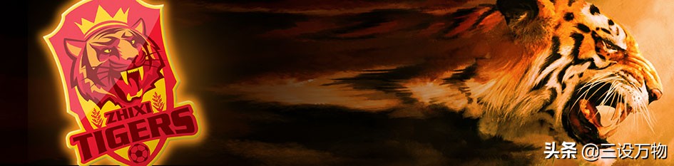 三设万物|ZHIXITIGERS足球俱乐部形象设计