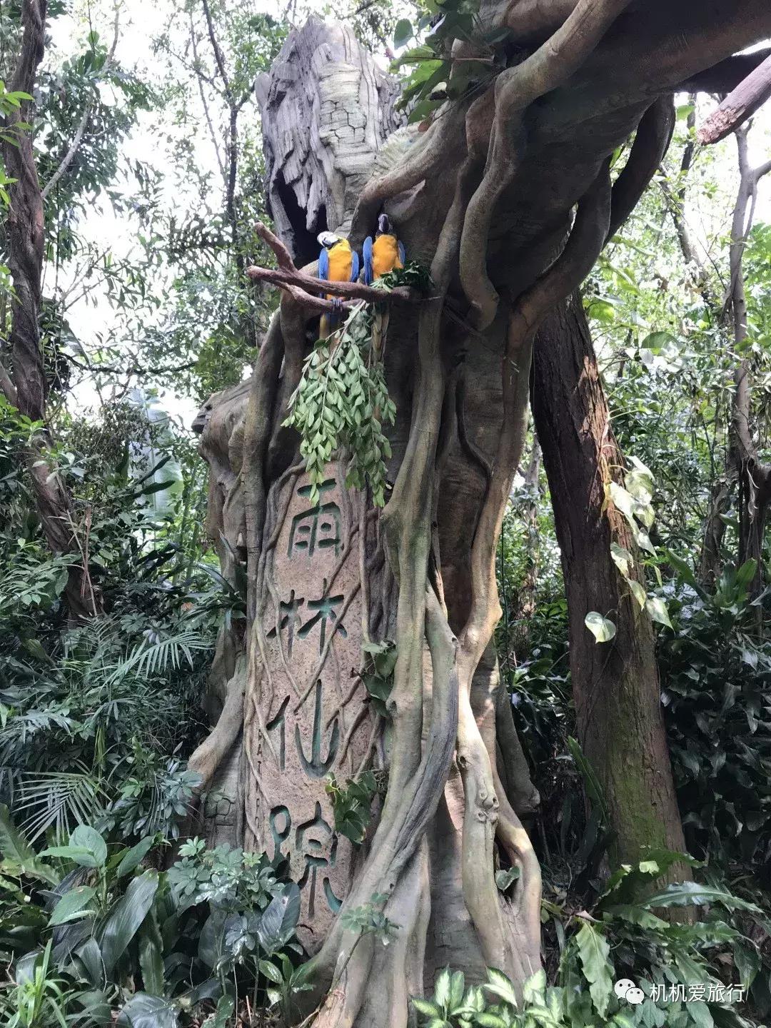 珠海长隆和广州长隆旅行攻略,珠海长隆和广州长隆旅游攻略区别