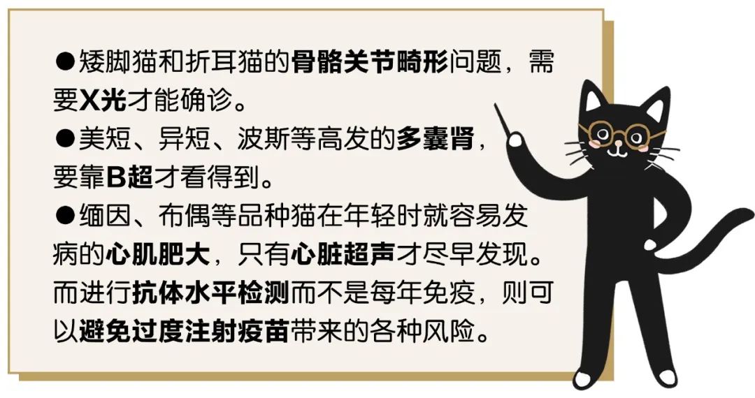 新手养猫指南猫咪长肉发腮攻略,猫咪基础体检和新猫体检