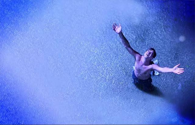 汤姆哈迪布拉德皮特法鲨,布拉德皮特和法鲨