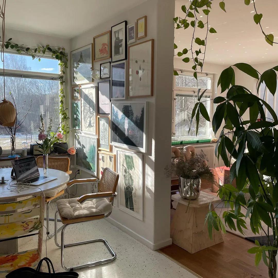 鍘昏В蹇ф潅璐у簵,鍘昏В蹇ф潅璐у簵瑙e咖