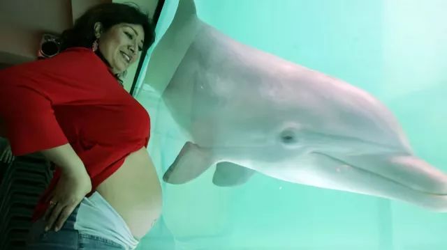 胎教听海豚音能开发胎儿大脑吗,海豚胎教声音视频