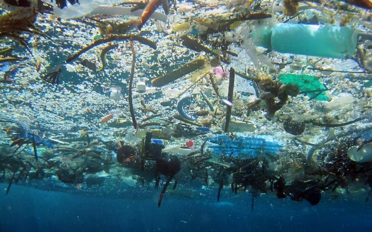 胃液能溶解塑料吗,胃液可以消化塑料吗