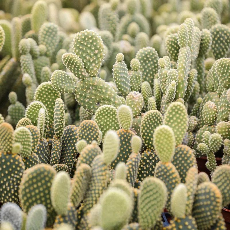 在大山深处幽静绝美的村落,深藏大山中的村落