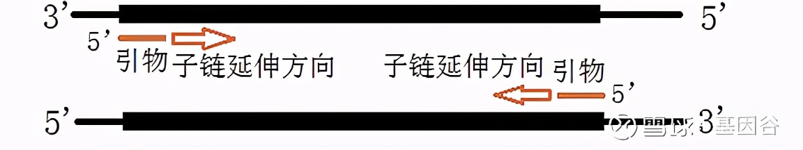 全场硬菜！分子诊断技术全解析