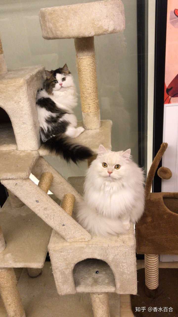 买了高层的人怎么样了,买了顶楼的房子后悔了吗