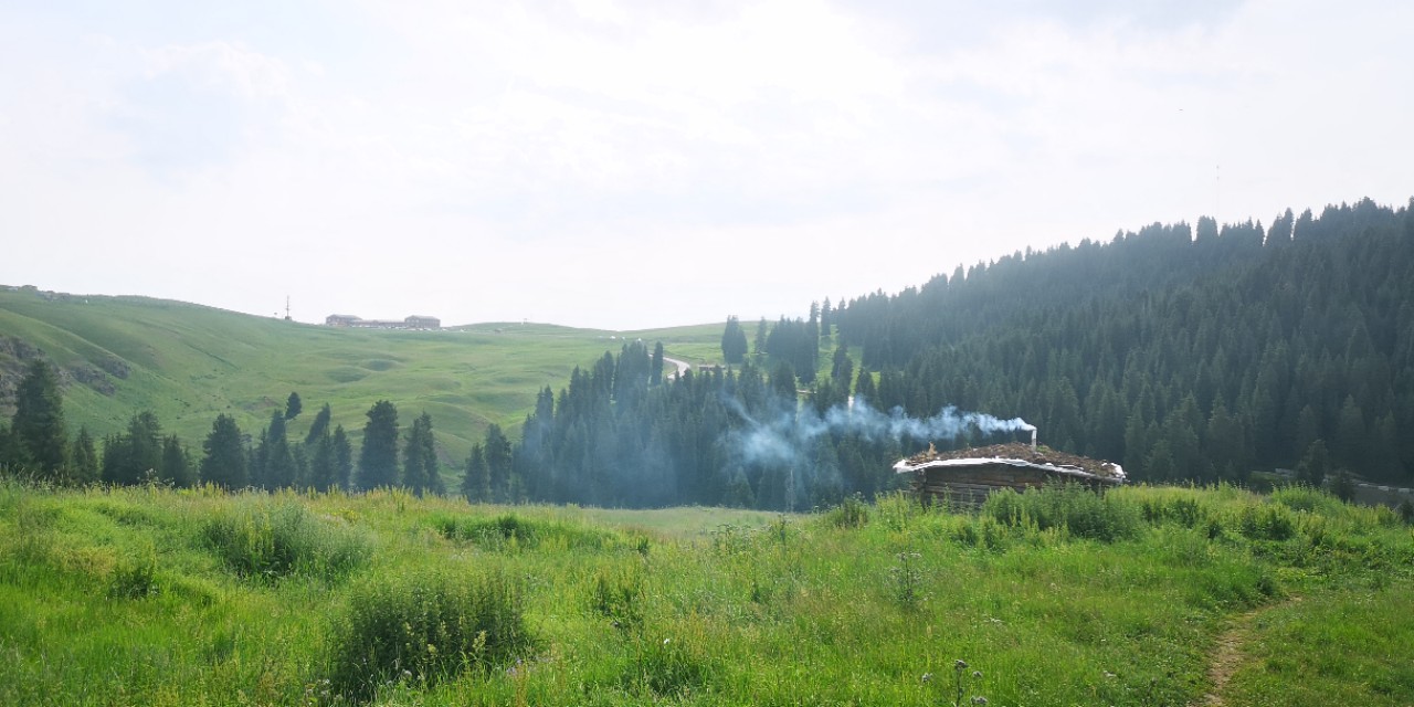 最新江布拉克5月份景色,江布拉克7月美吗