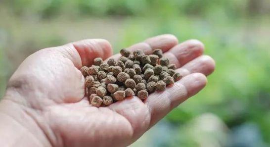 鱼竿抱死怎么解决,鱼竿竿把抱死怎么收回来