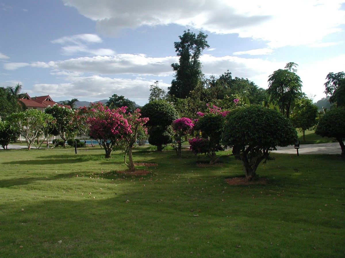 彩云之南西双版纳傣族,西双版纳风景彩云之南