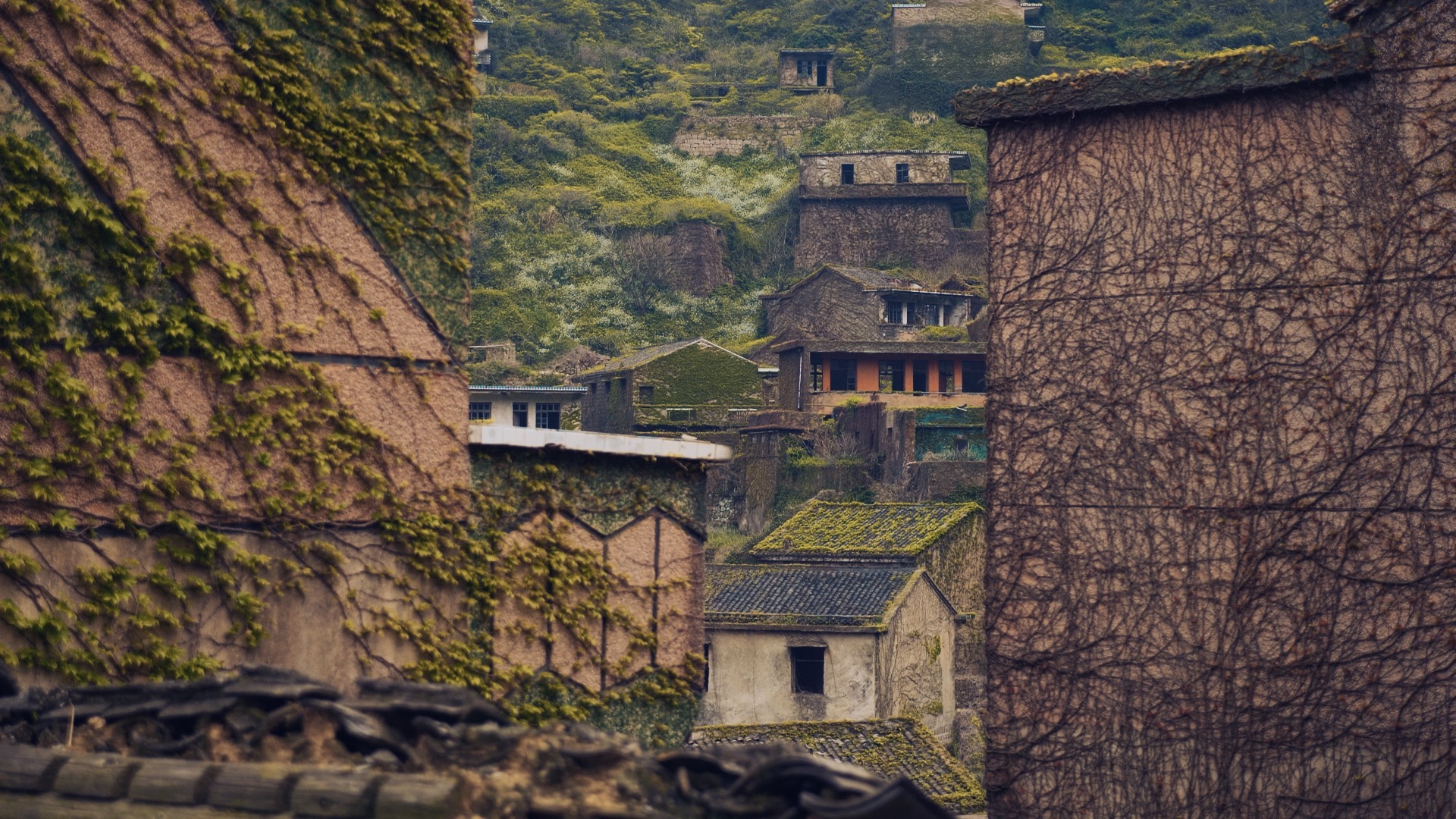 浙江嵊泗列岛三日游,嵊泗四日游旅游攻略