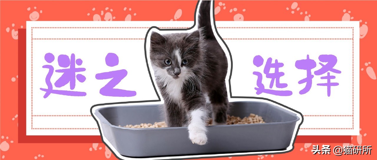 选猫砂防臭,天然矿石猫砂推荐测评