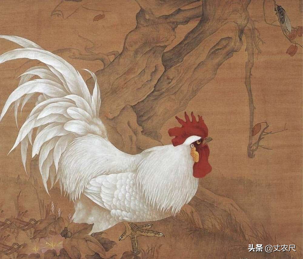 中国鸡肉消耗量,我国鸡肉进口逐年下降