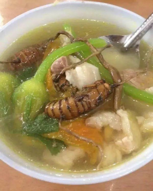 吃了三个月的冬虫夏草,吃冬虫夏草真实反馈