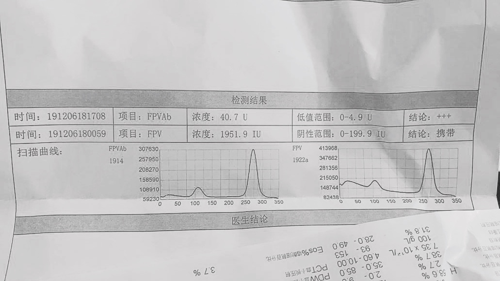 猫瘟导致眼睛变绿,谈猫色变