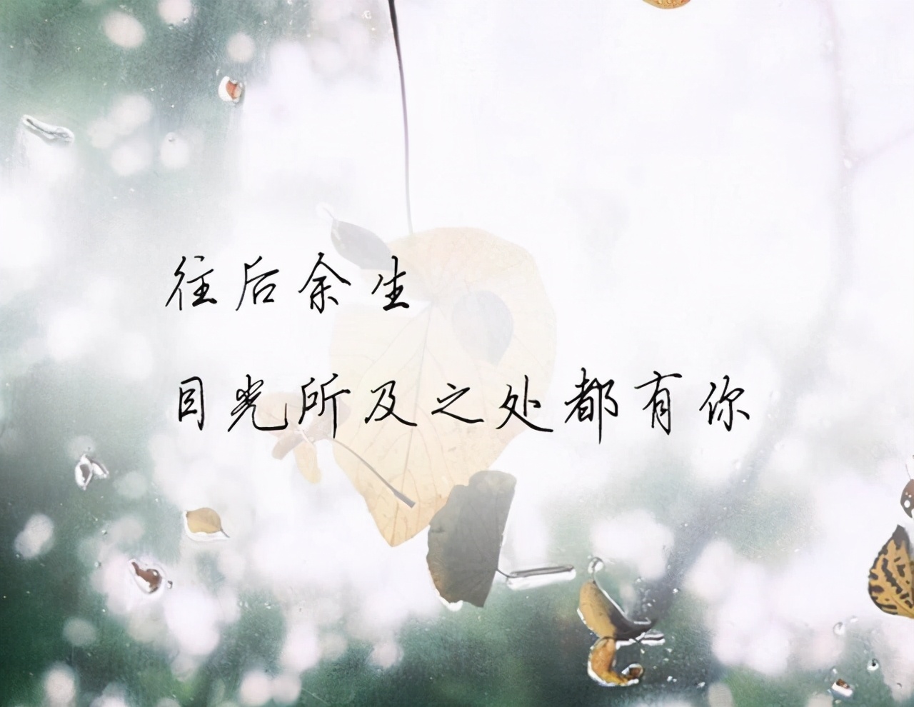 爱错了人最后会怎么样,如果爱错了人会怎样